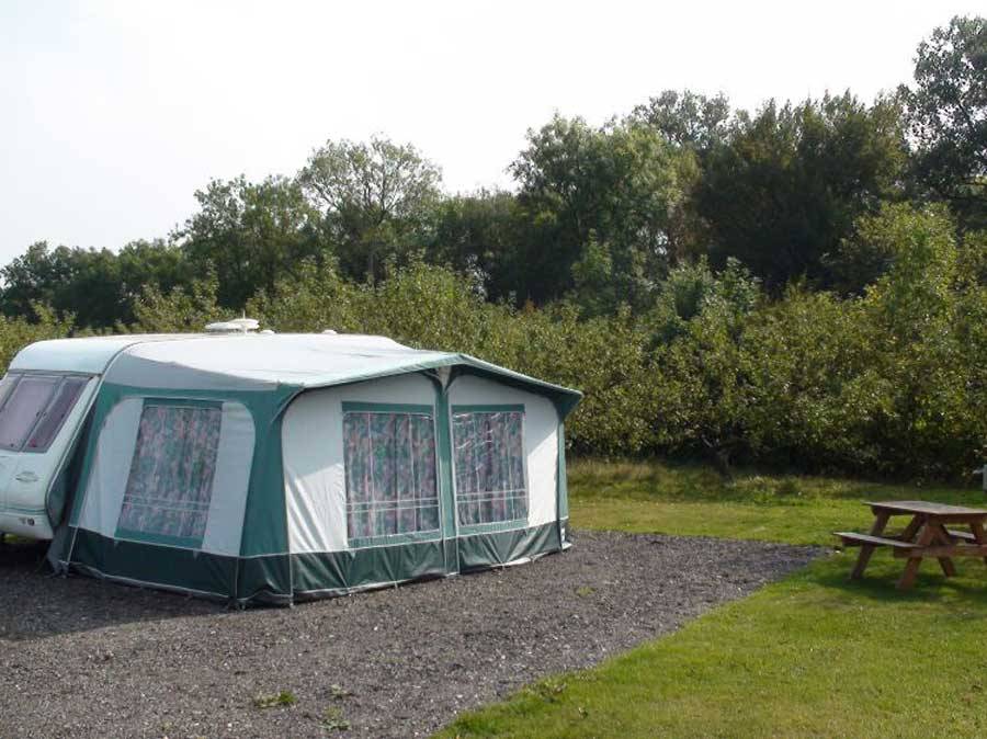 Apple tent