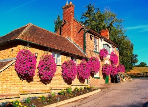 The Halfway House