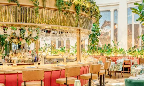The Ivy The Ivy