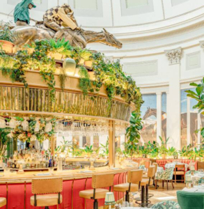 The Ivy