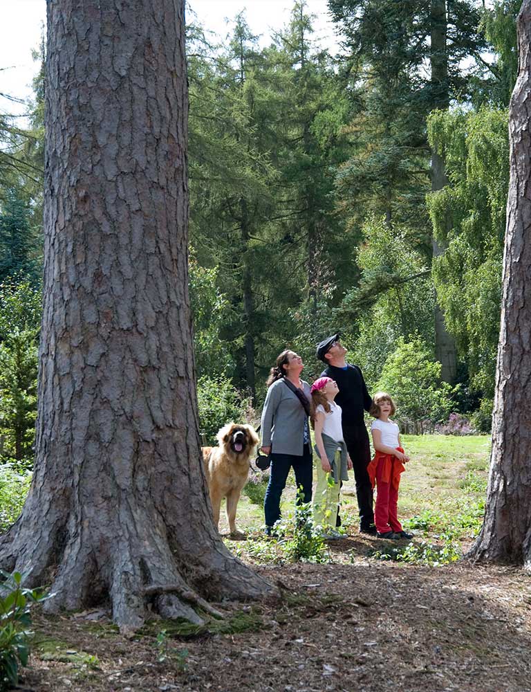 Bedgebury-dog-friendly-web-res-village-page