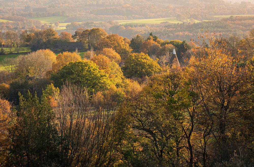 Countryside-view-web-res