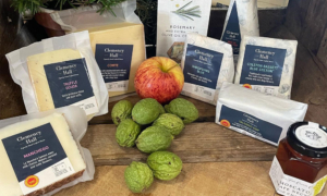Cheese and apples