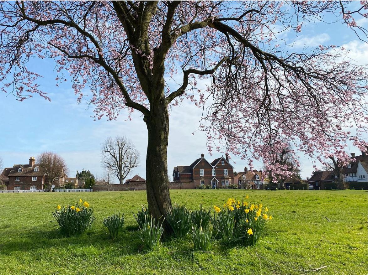 Horsmonden Green
