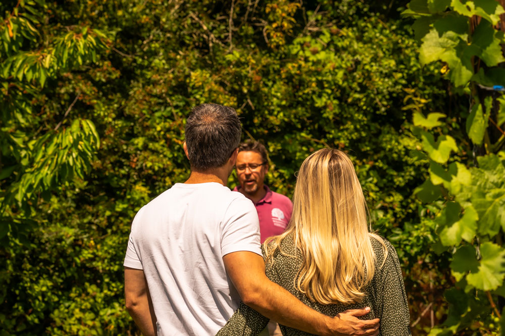 Sarah-Mott-photographer-Wildwood-Vinyard-Web-38