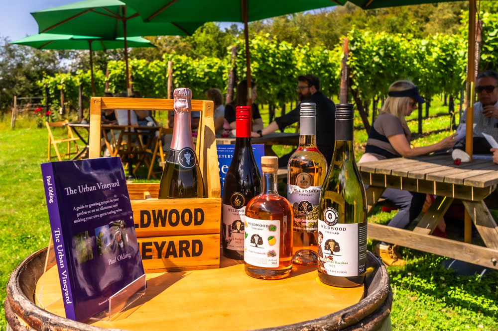 Sarah-Mott-photographer-Wildwood-Vinyard-Web-51