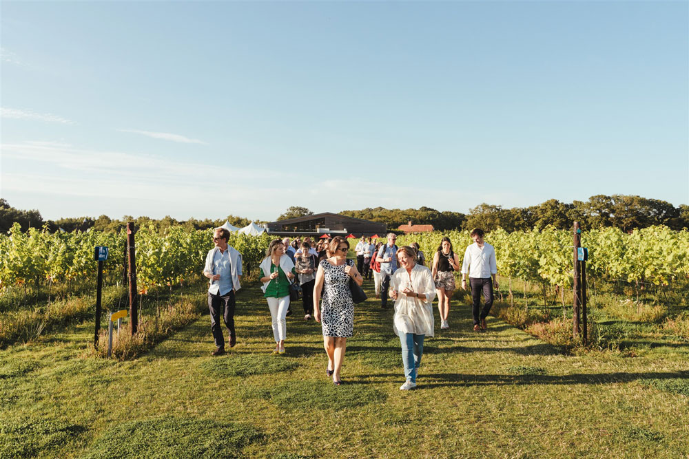 Vineyard tour Vineyard tour