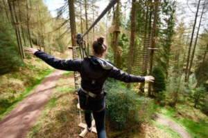 go-ape-bedgebury A girl in the treetop go ape adventure course