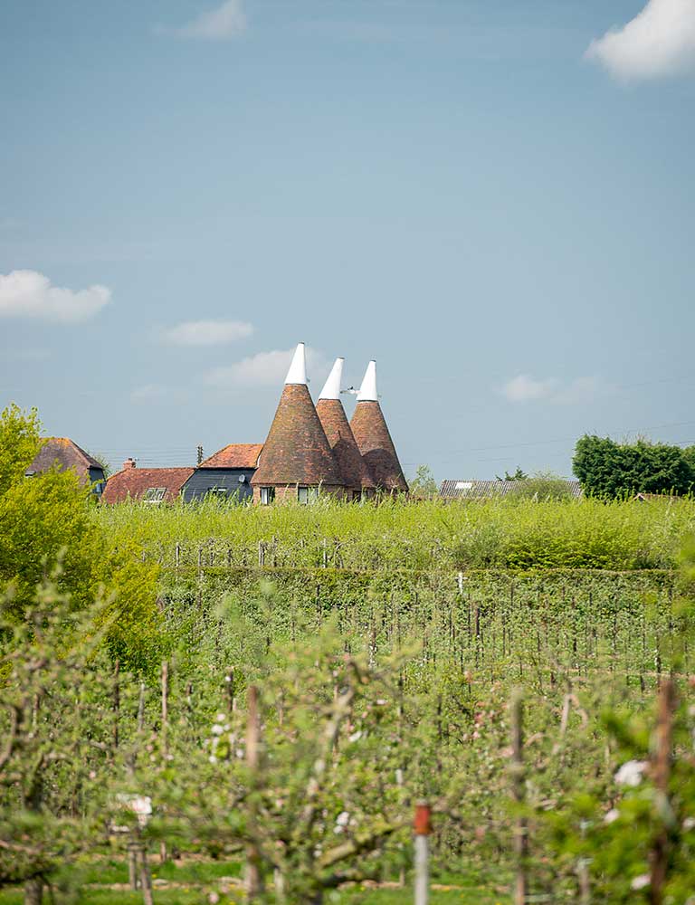 orchard with oast house in the background