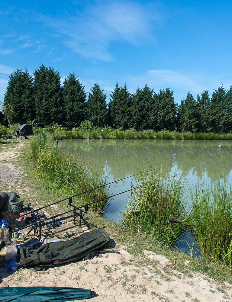 paddock-wood-fishing