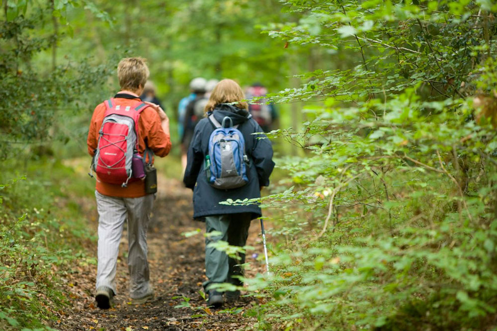 walking—Explore-Kent—Web-res