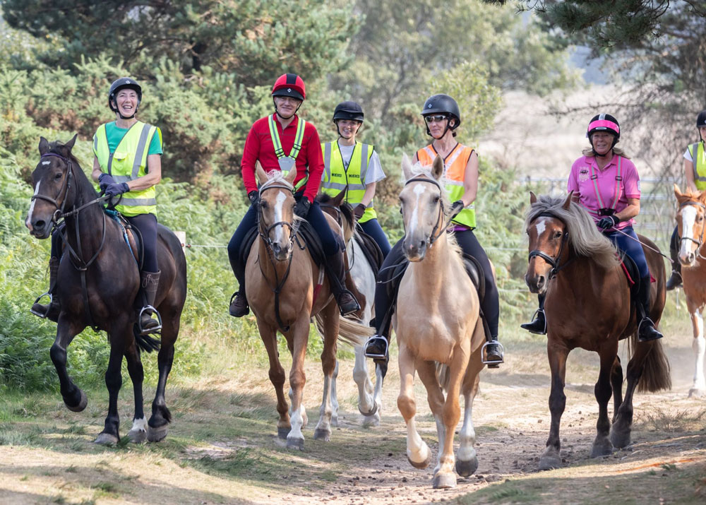 Ashdown Forest Riding Association