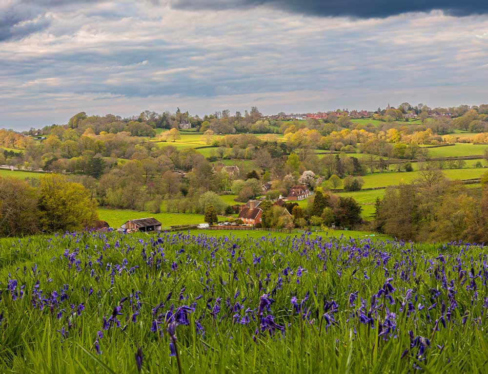 Batman-surrounding-countryside