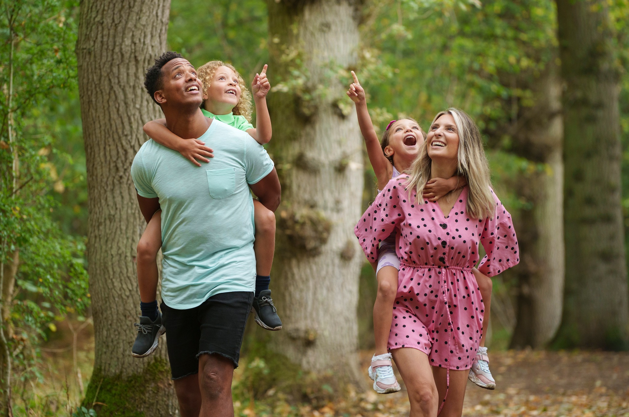 A family in the woods A family in the woods