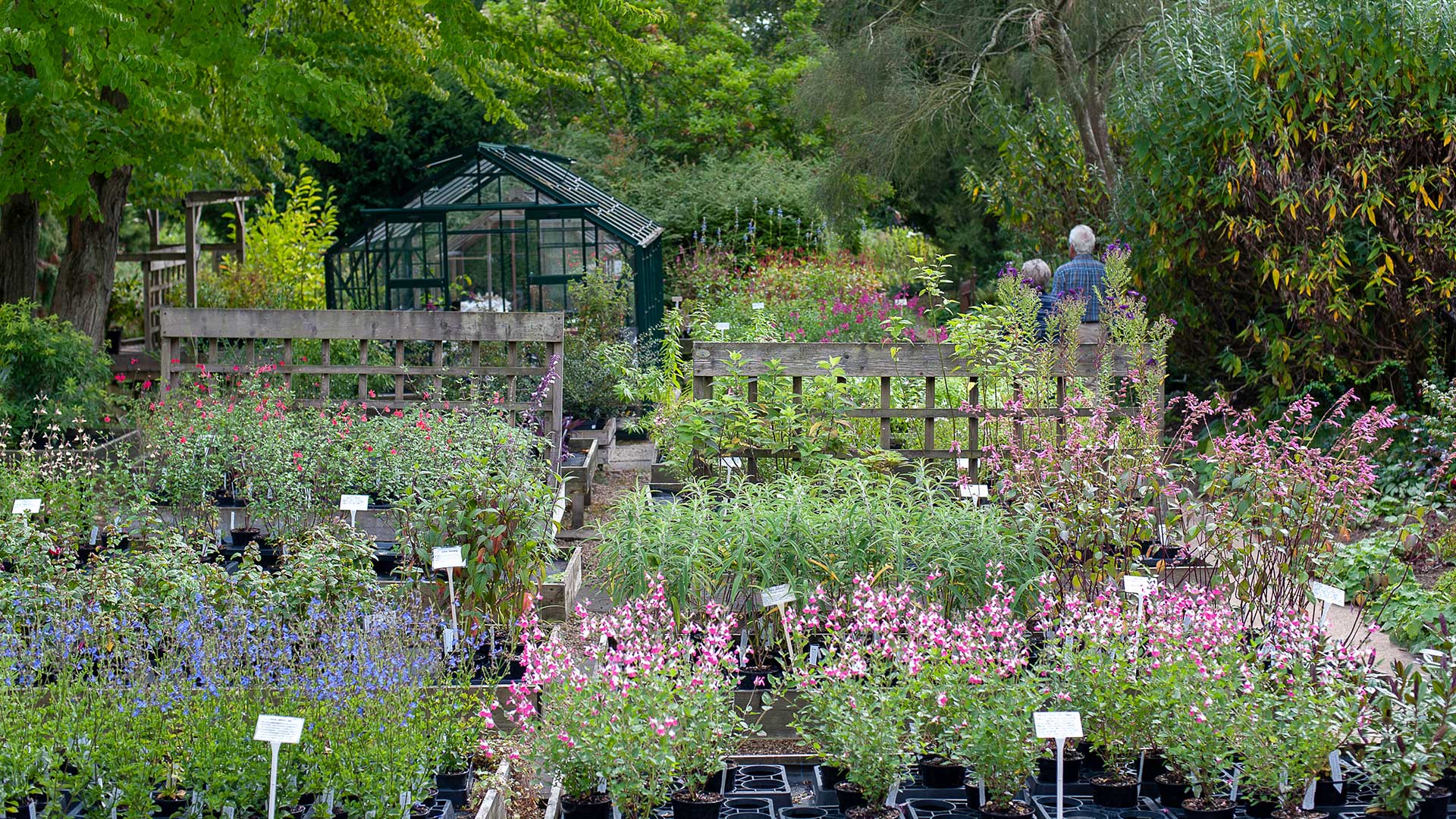 Dyson-Nursery