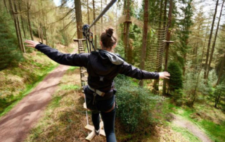 Go Ape Go Ape at Bedgebury
