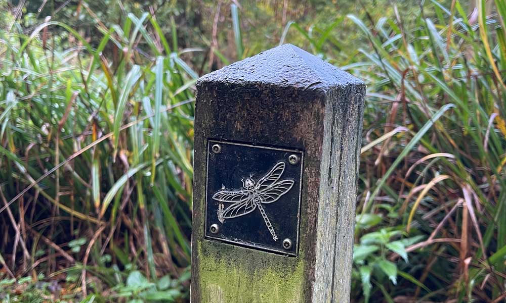 Grosvenor-park—Brass-Rubbing-Trail