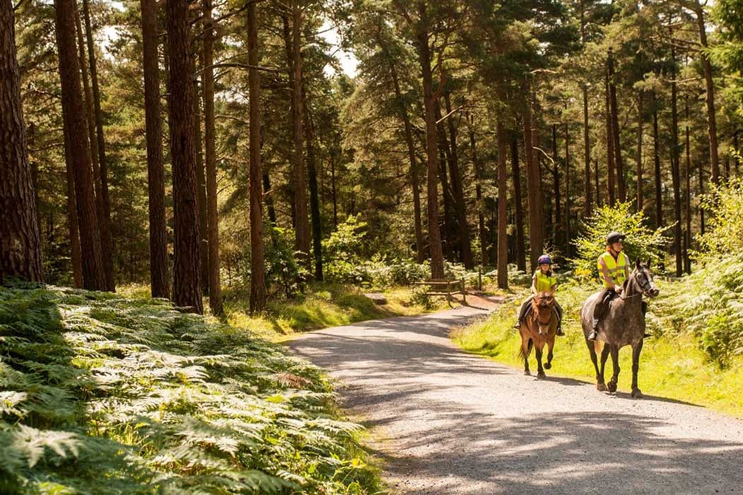 Horse Riding at Bedgebury