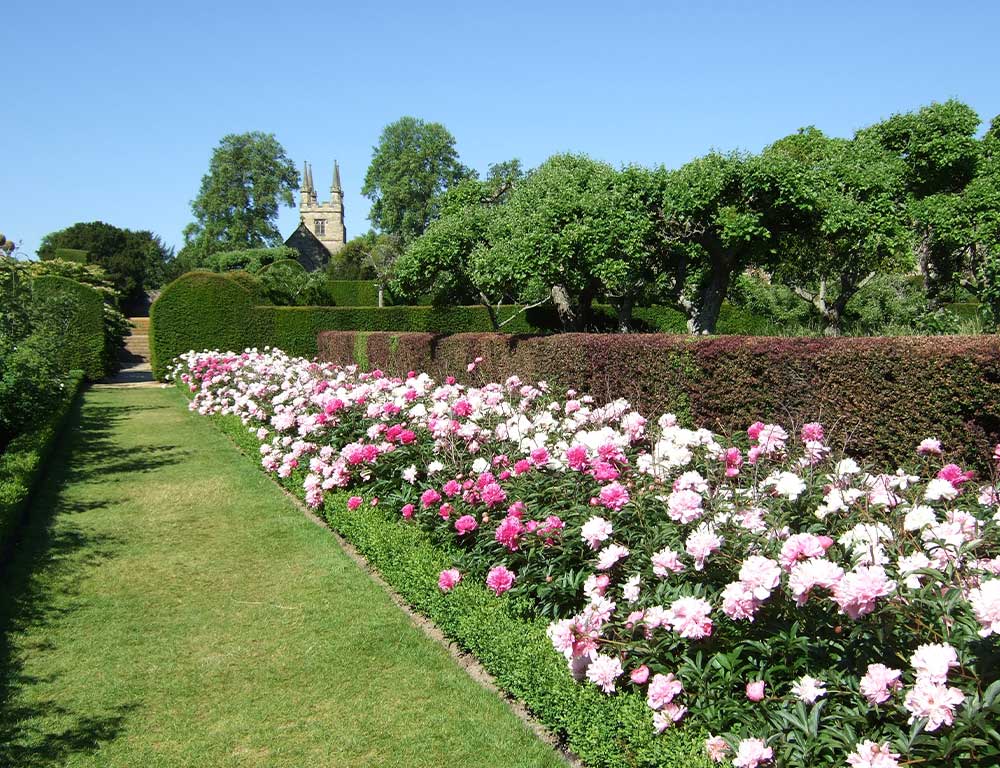 Penshurst-gardens