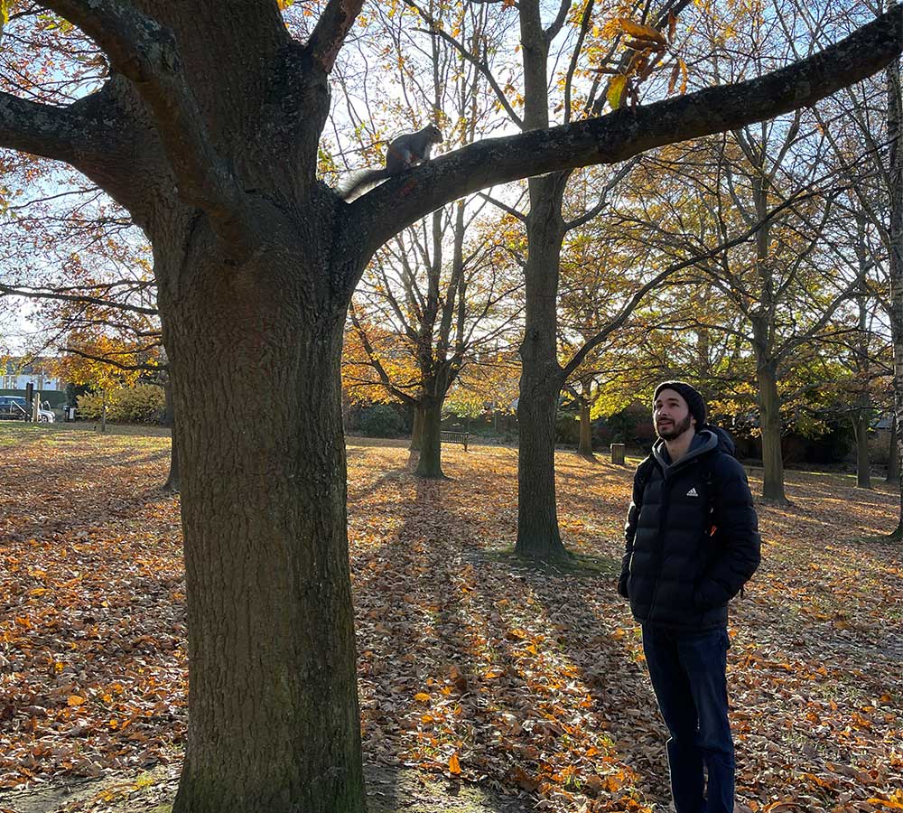 The-Grove-square-image
