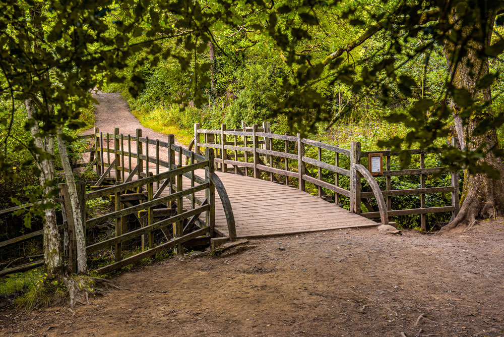 Pooh Bridge Pooh Bridge