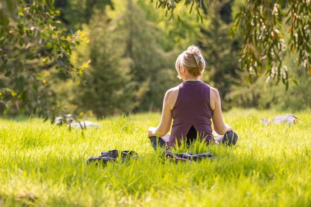 bedgebury-yoga