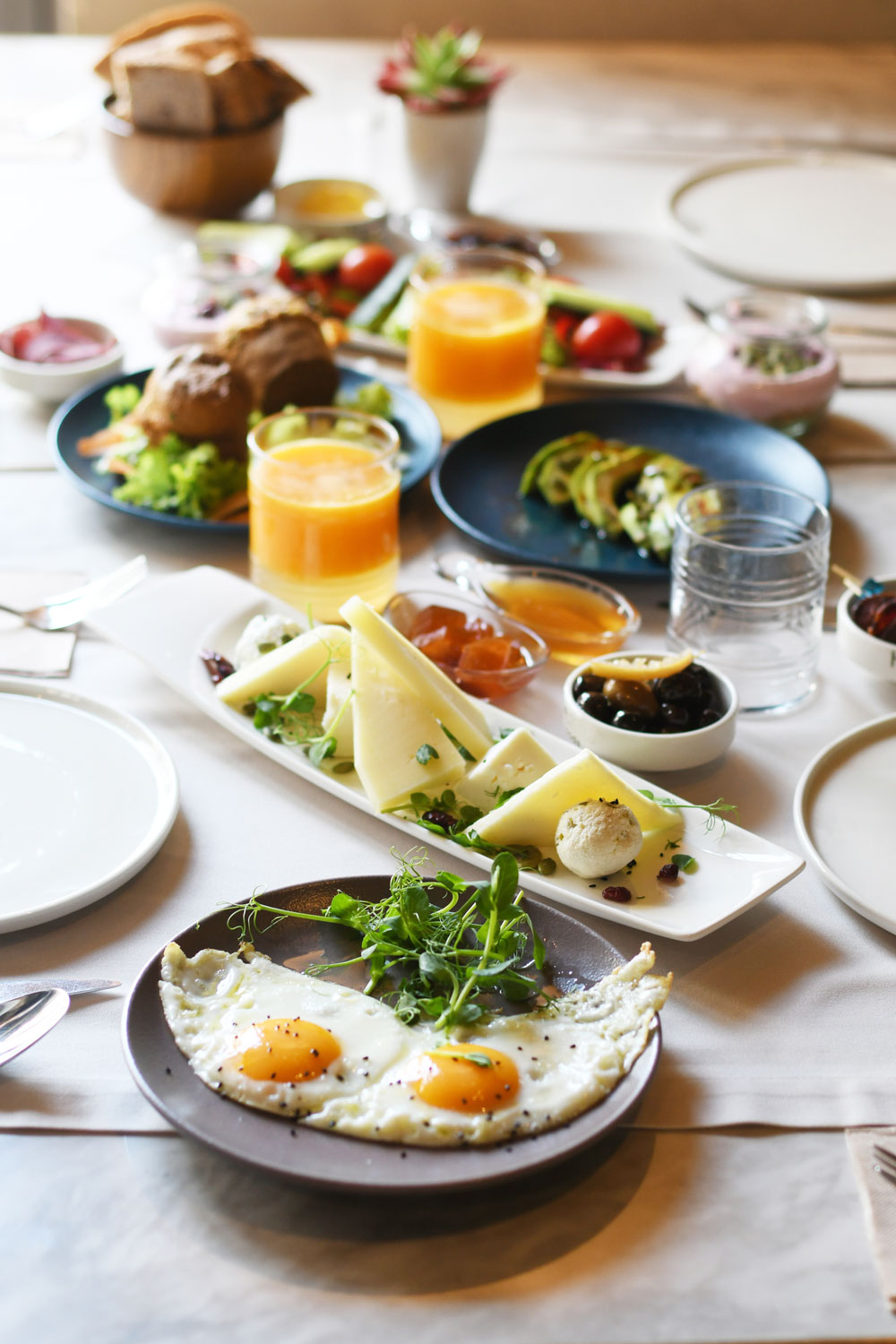 Brunch with eggs and cheese Brunch with eggs and cheese