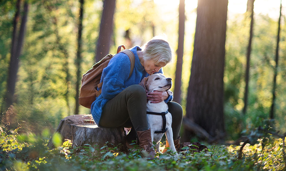 dog-friendly
