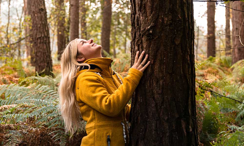 Forest Bathing