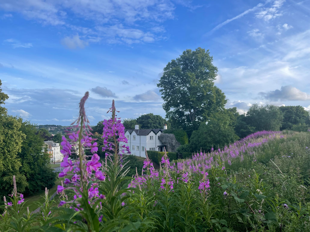 mt-ephraim-summer