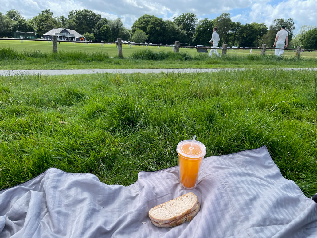 picnic-on-the-commons