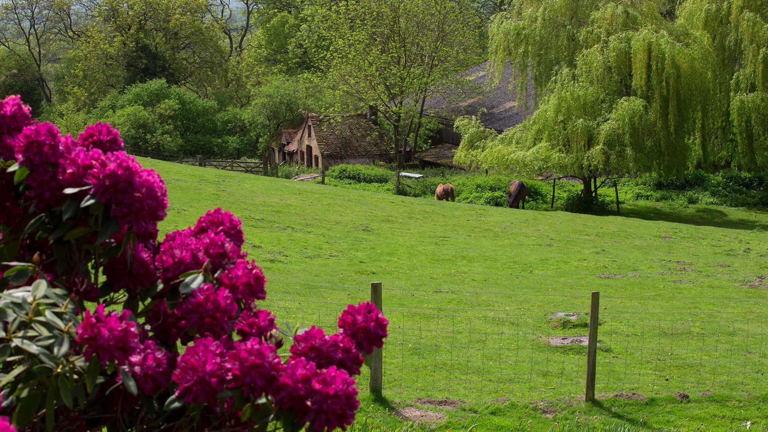 riverhill-gardens-plan-your-visit