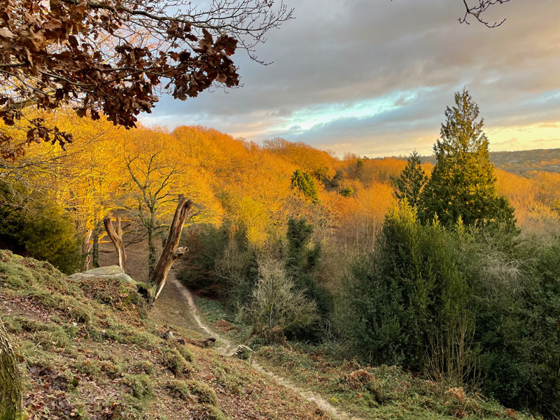 Rusthall Common Rusthall Common