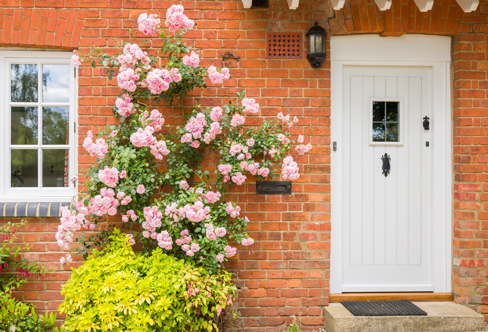 A door with roses A door with roses