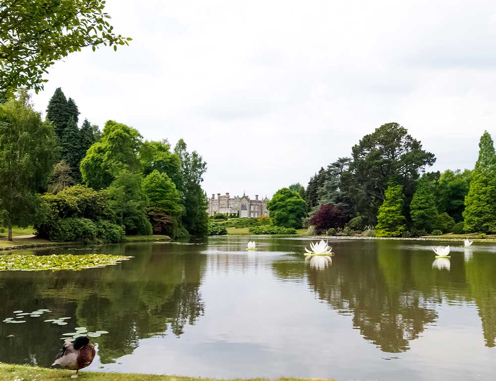 sheffield-park-lake