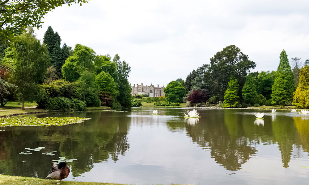 sheffield-park-lake