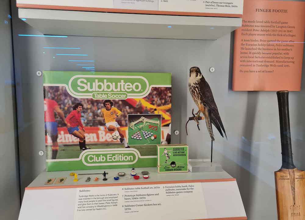 subbuteo-the-amelia