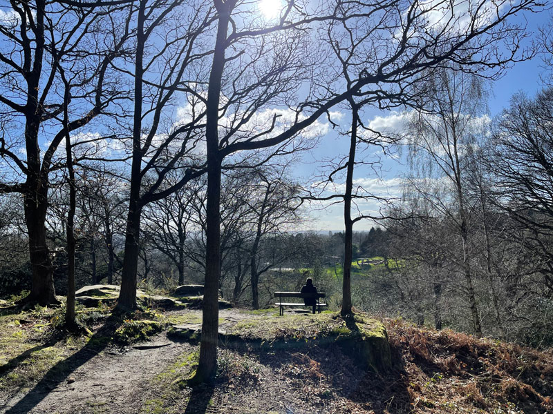 winter-Commons