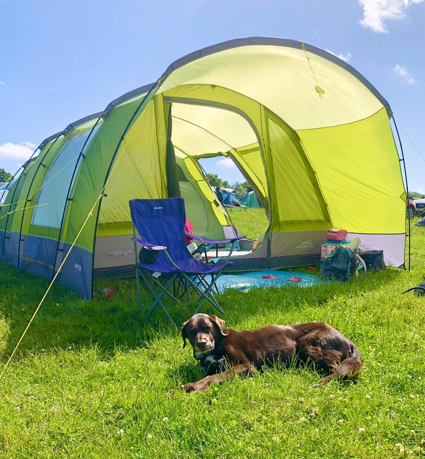 Dog friendly Bedgebury Camping