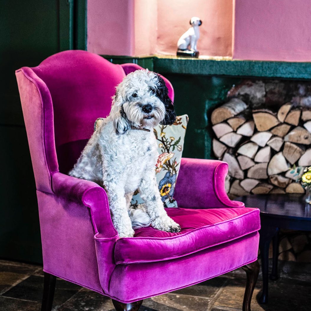 Dog friendly The Chequers Inn Dog friendly The Chequers Inn