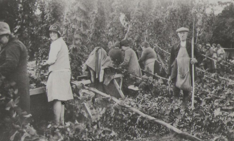 Paddock Wood Hop Pickers Paddock Wood Hop Pickers