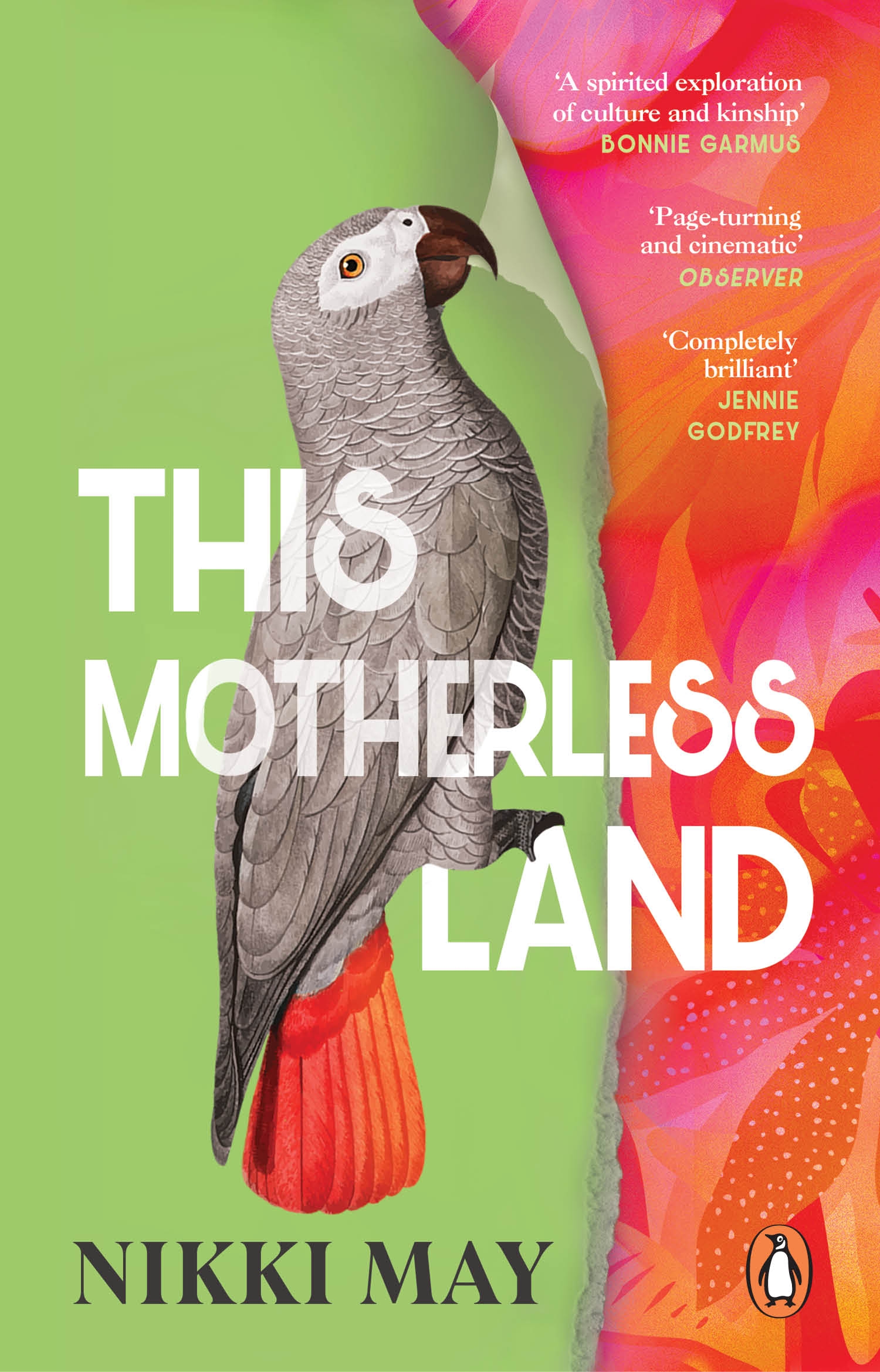 This Motherless Land PB