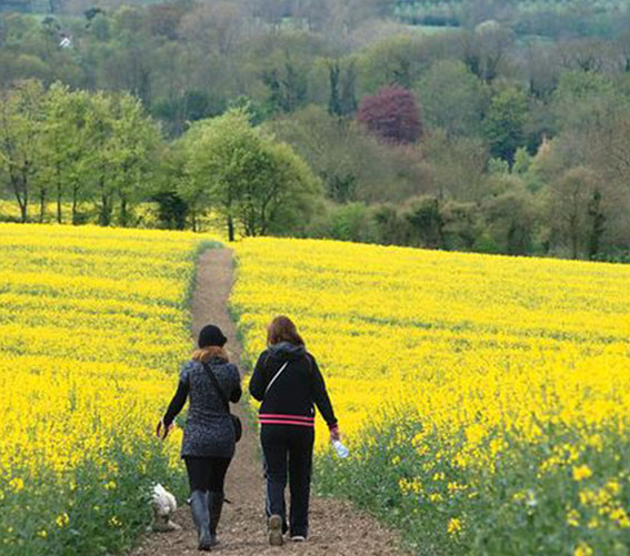 Walking in Kent