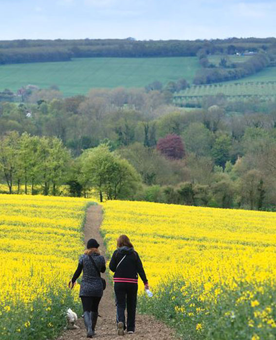 Walking in Kent Walking in Kent