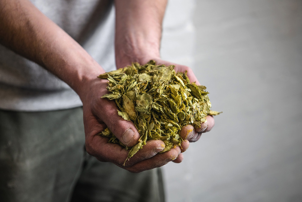 Fonthill Brewery and Taproom – a handfull of hops Fonthill Brewery and Taproom - a handfull of hops