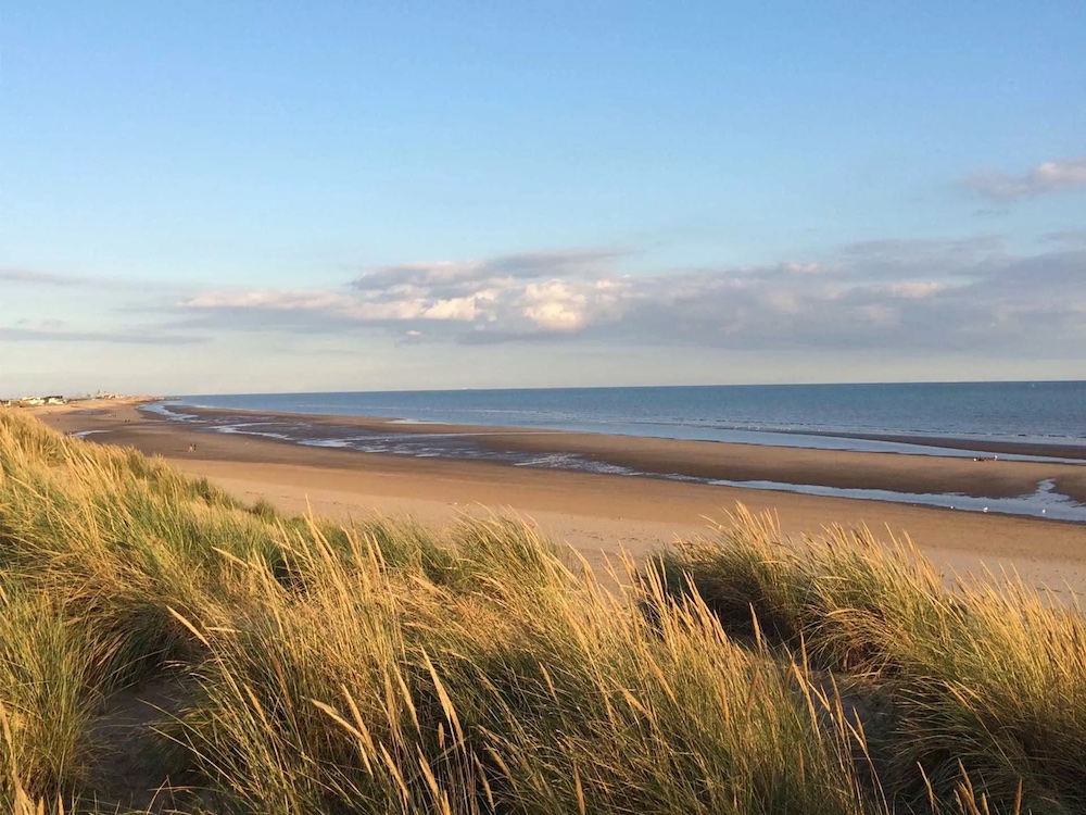 camber-sands Golden hour on a sandy beach showing swaying grass in the foreground and the blue sea and sky in the background