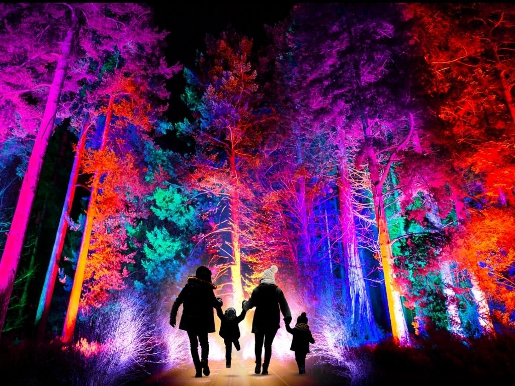 Christmas at Bedgebury A family walking the lights trail
