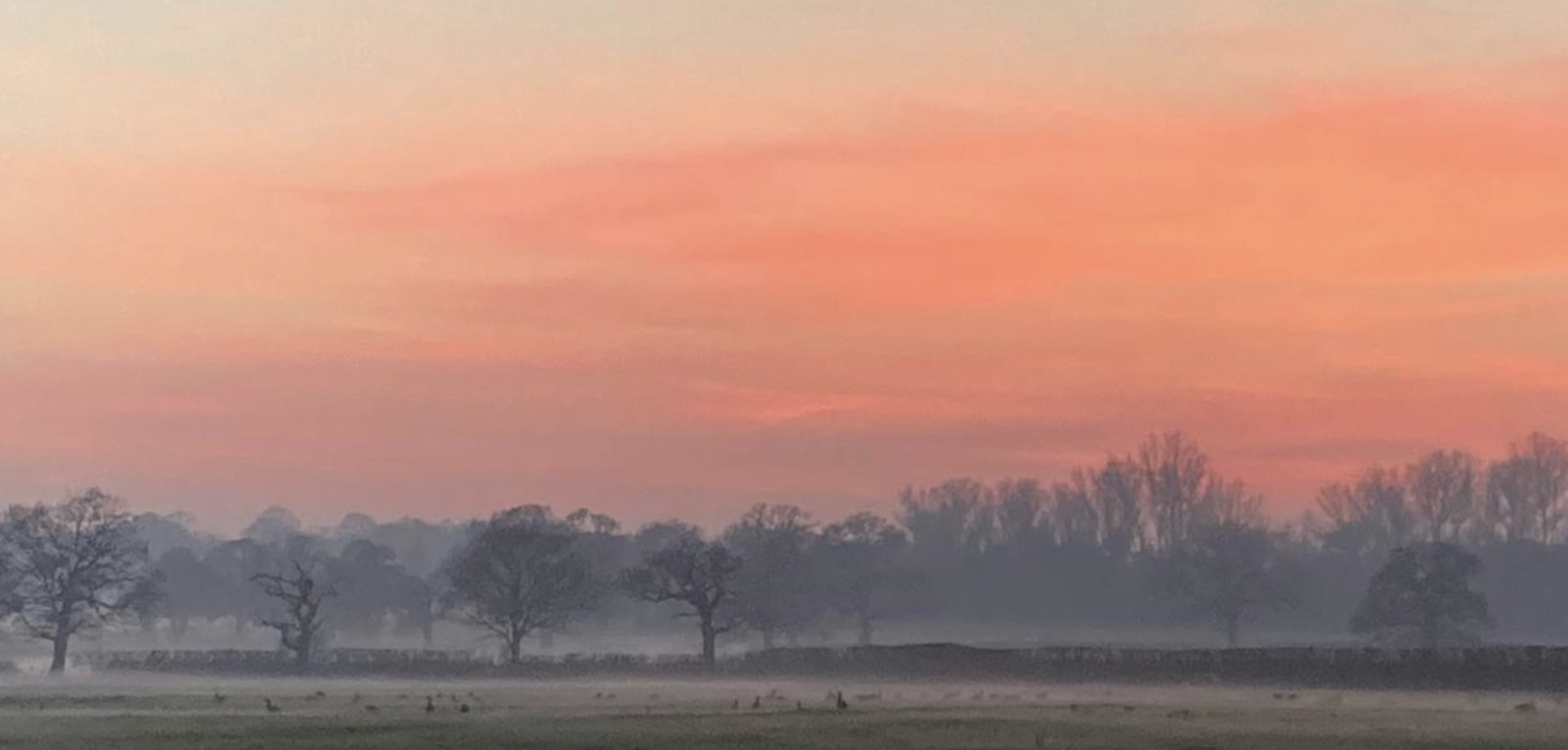 sunset over the frosty countryside