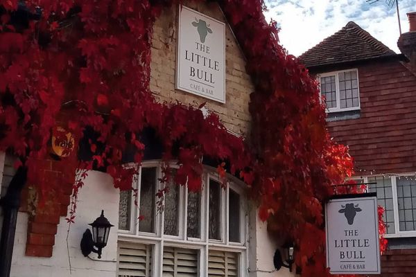little bull cafe Cafe with leaves on the wall