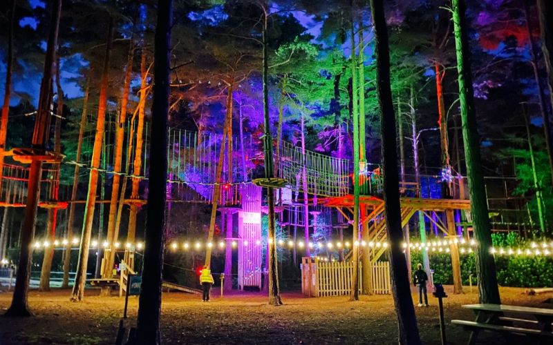 Bedgebury go ape sundown 800×500 Treetop obstacle course lit up at night